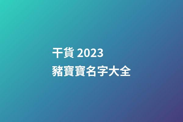 干貨 2023豬寶寶名字大全